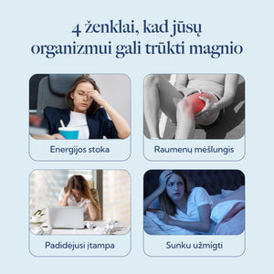 StressLess Magnio bisglicinatas + L-teaninas + vit. B6